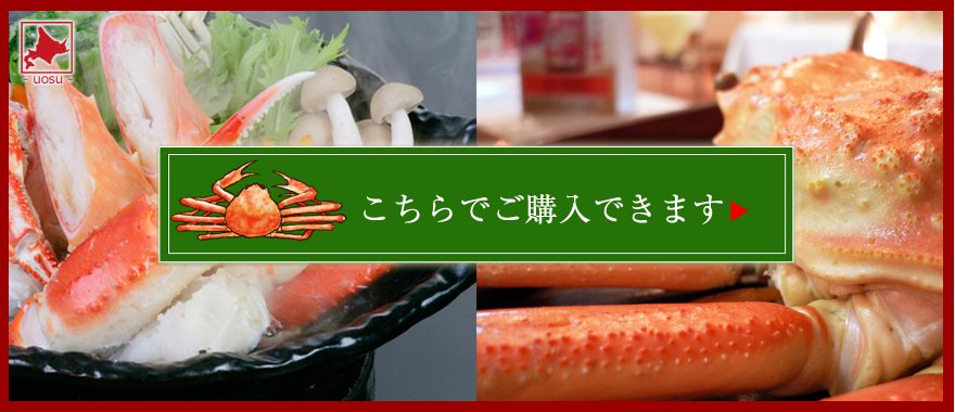 越前ガニ通販 旬