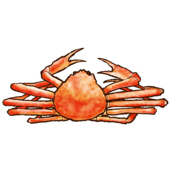 うおす｜ホタテ 通販